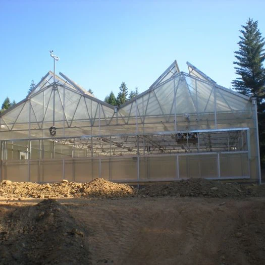 Black Shade Cloth Landbrug Drivhus