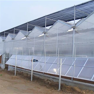 Landbrugs PC Sheet Drivhus