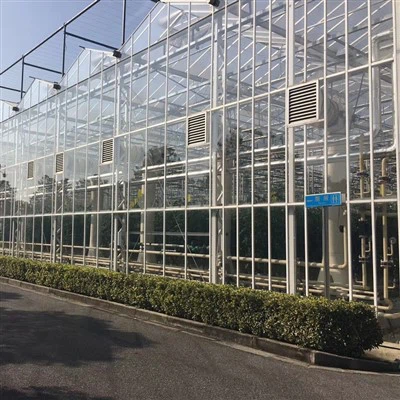 Intelligent Agriculture Multi-span Glas Drivhus