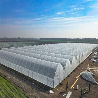 Rain Shelter Drivhus