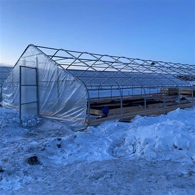 Tunnel drivhus